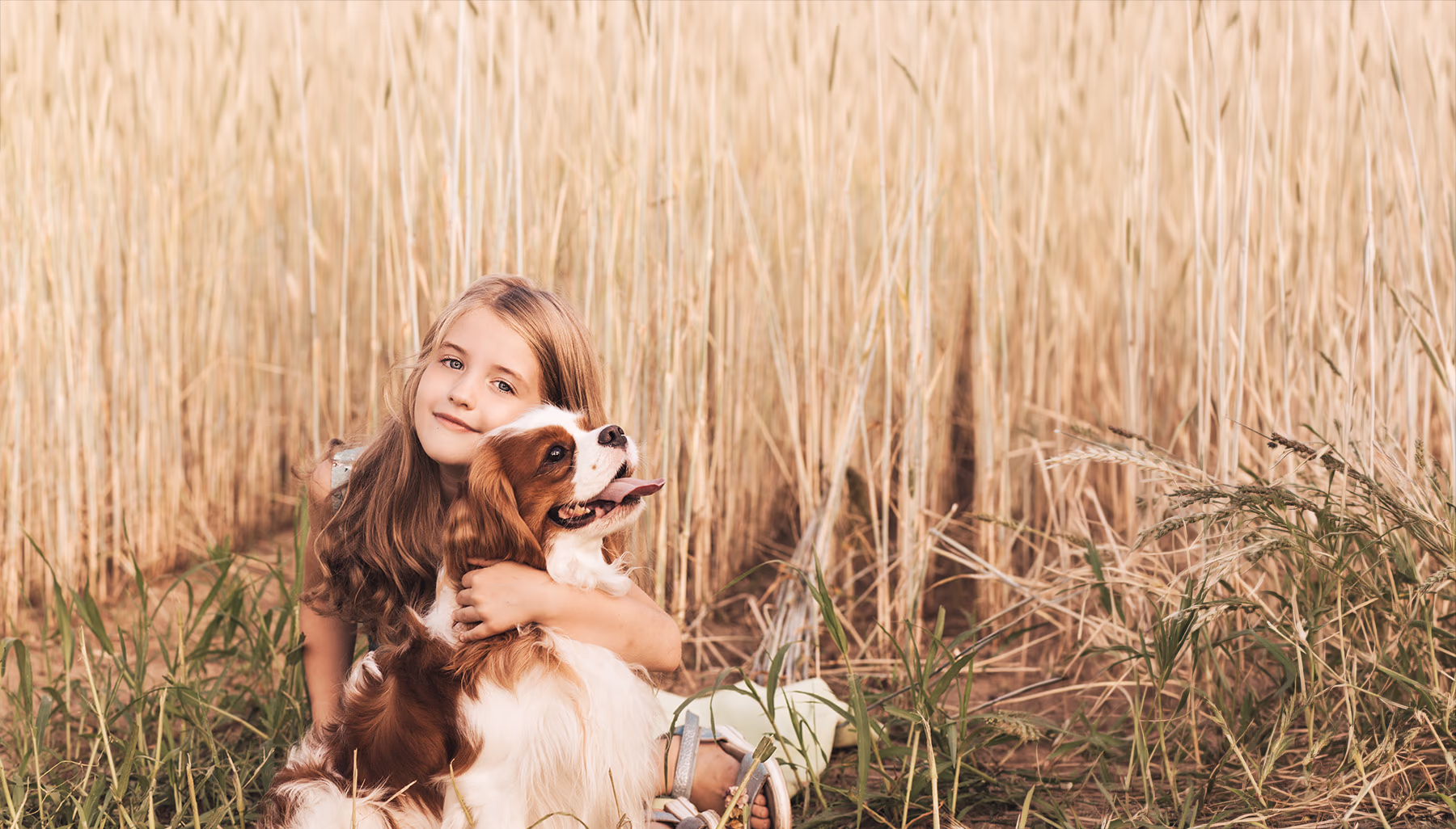 Le Chalet du Chien - Hundefriseur Krefeld